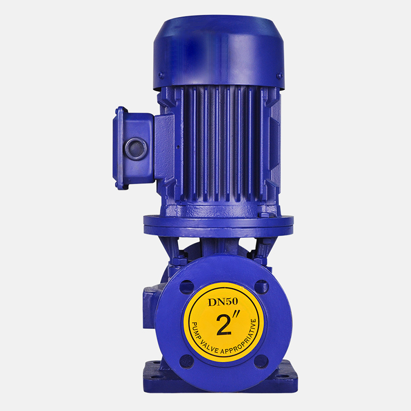 12.5m³/h Vertical Pipeline Centrifugal Pump 3kw Cast Iron Pipeline Centrifugal Pump Vertical Pipeline Pump Clean Water Pump - Image 2