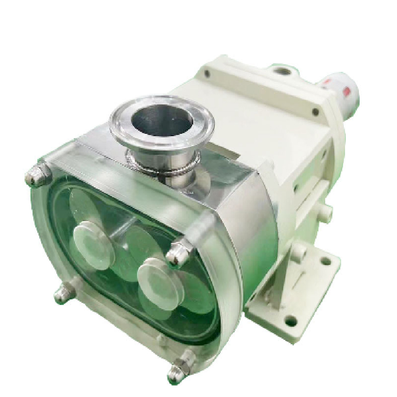 251023Stainless Steel Conveying Pump4