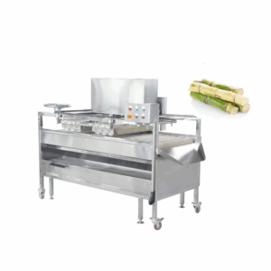 1000kg/h Automatic sugarcane cleaning machine