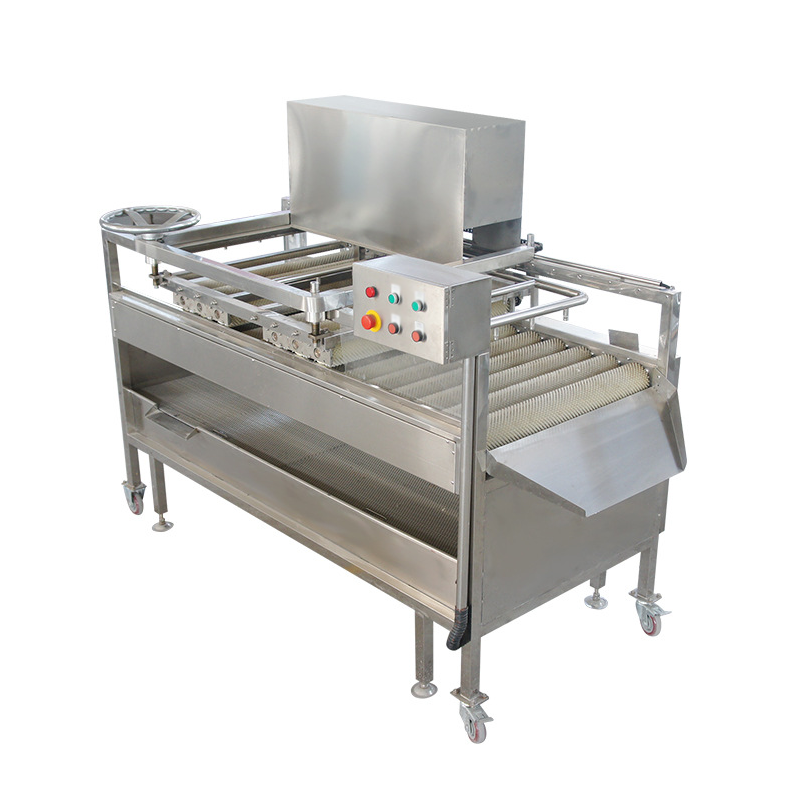 The automatic sugarcane washing machine lays a sanitary foundation for subsequent processing steps.