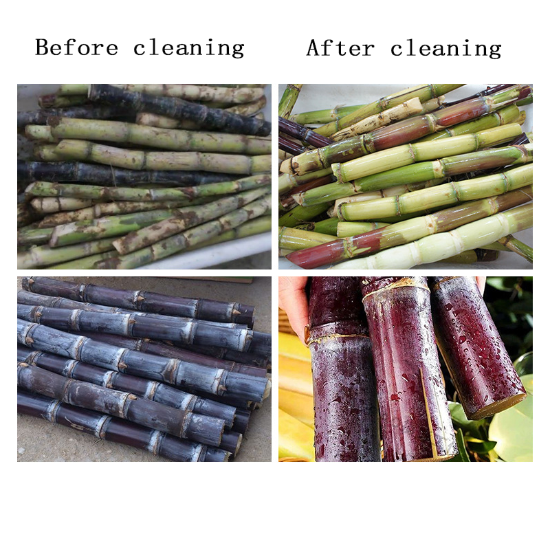 The automatic sugarcane washing machine sterilizes and disinfects while cleaning the sugarcane.