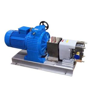 Pompe a lobi in acciaio inossidabile sanitarie per il trasferimento di alimenti, delicate ed efficienti