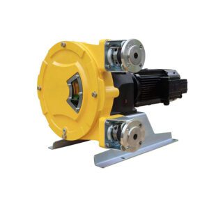 Pompa peristaltica flessibile personalizzata - Industriale - Motore a frequenza variabile, funzionamento efficiente