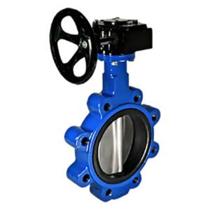 Gear/Lug/Wafer Butterfly Valve - CI/DI, Manual, Normal Temp Water