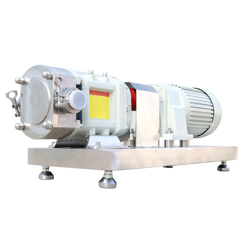 High flow SS cam rotor pump full view display.