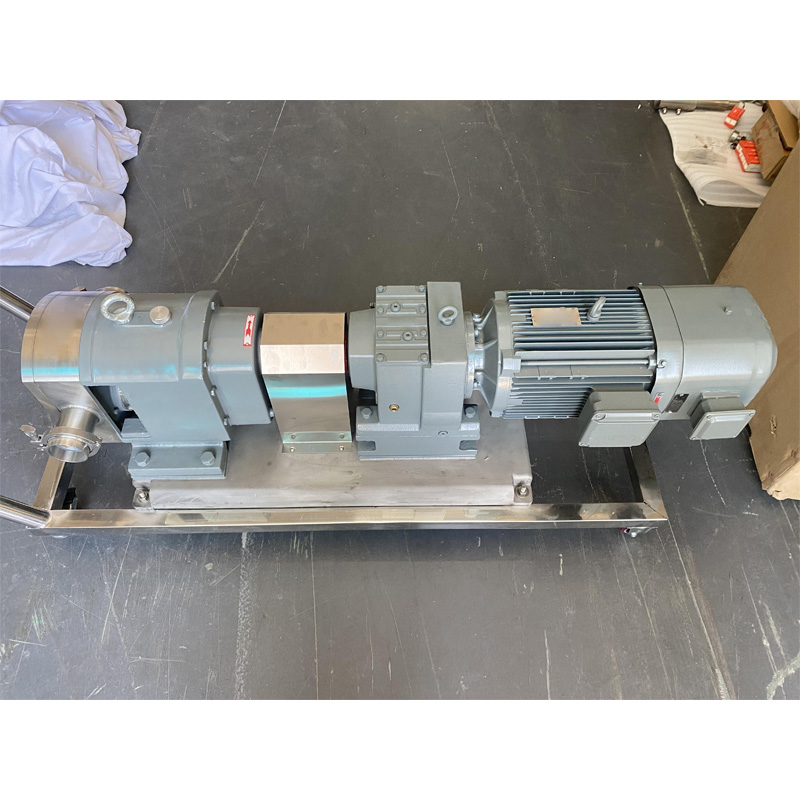 Top view of a food-grade high-viscosity transfer pump.
