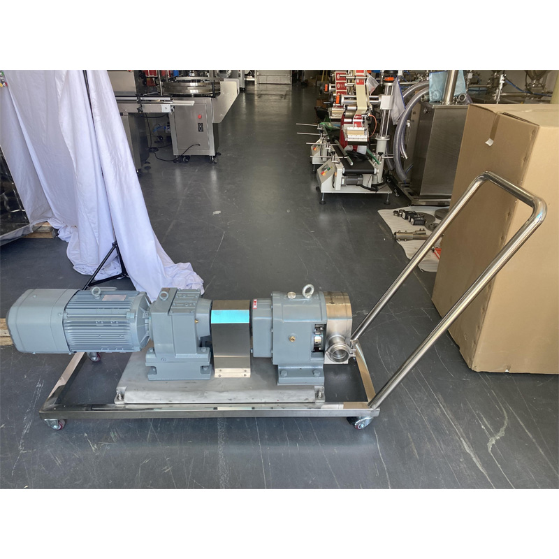 Side view of a sanitary cam rotor pump.