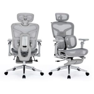 Ergonomic Mesh Office Chair with Back Support for Home Office