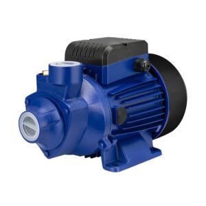 High Head Peripheral Pumps Domestic Water Boosting Utility