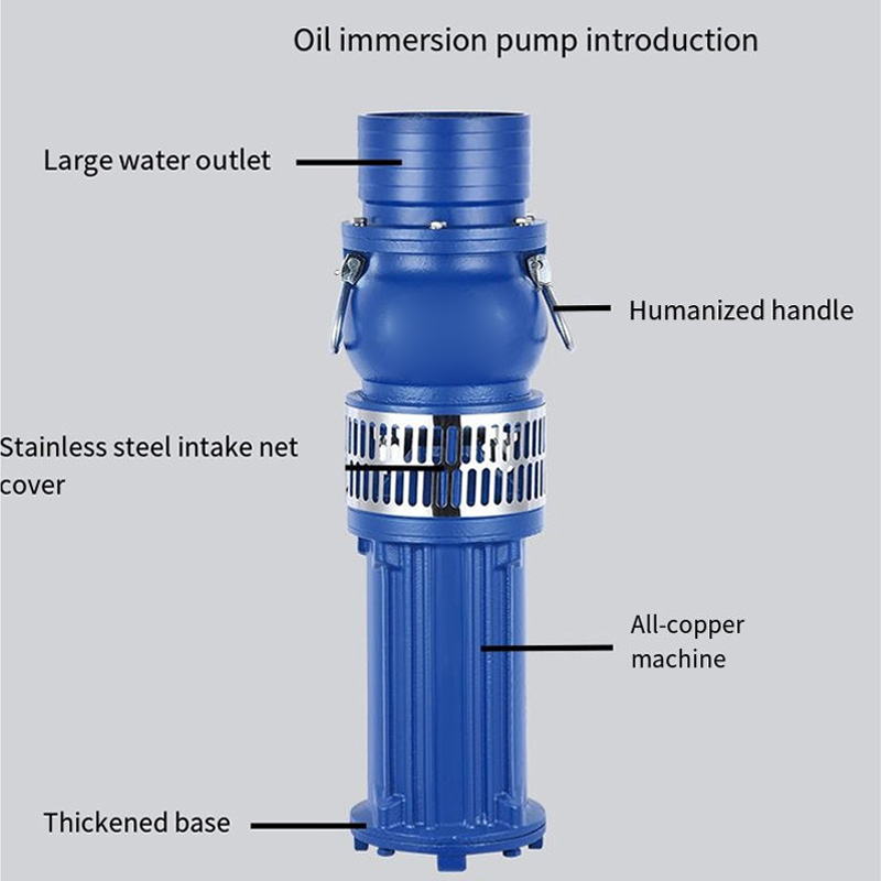 Introduction to the components of an industrial/irrigation submersible pump.