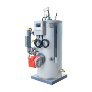 Vertical Steam Generator 30-500kg/h Commercial Fuel Gas Heating Industrial Steam Boiler Dual Fuel Steam Generator