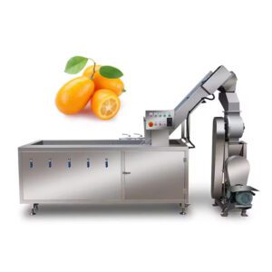 Fruit and Vegetable Juicer Industrial Automatic Commercial Production Line