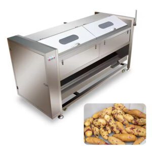 Brush Washer Peeler Machine Automatic Commercial Avocado Kiwi Fruit Yam Cassava Taro Potatoes Peeling Machine