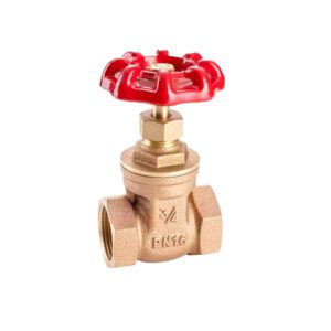 Brass Gate Valve Control Flow Water Valve 2 Inch 3 Inch For Hot Water