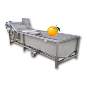 Automatic Fruits Vegetables Tomato Washing Cleaning And Sorting Machine Small Processing Plant Tomato Paste Production Line