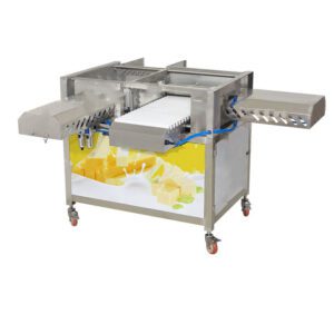 Industrial Block Cheese Slicing Cutter Two - Stage Cubing & Dicing Specialized for Mozzarella Cheese Processing