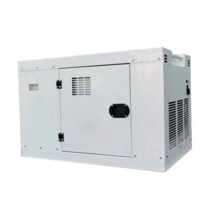 Dual Fuel Biogas/Natural Gas Silent Power Generator