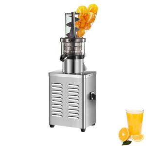 Fruit Press Machine Commercial Cold Press Juicer for Turmeric and Apple