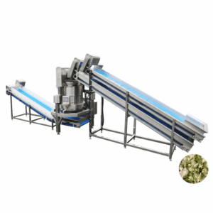 600-1000kg/h Belt Conveyor Dehydrator