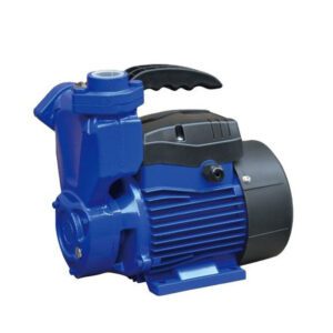 Peripheral Pumps Cast Iron for Home Boosting, Compact, Cost-Effective