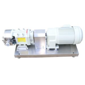 High Flow SS Cam Rotor Pump Food/Chemical Paste Transfer
