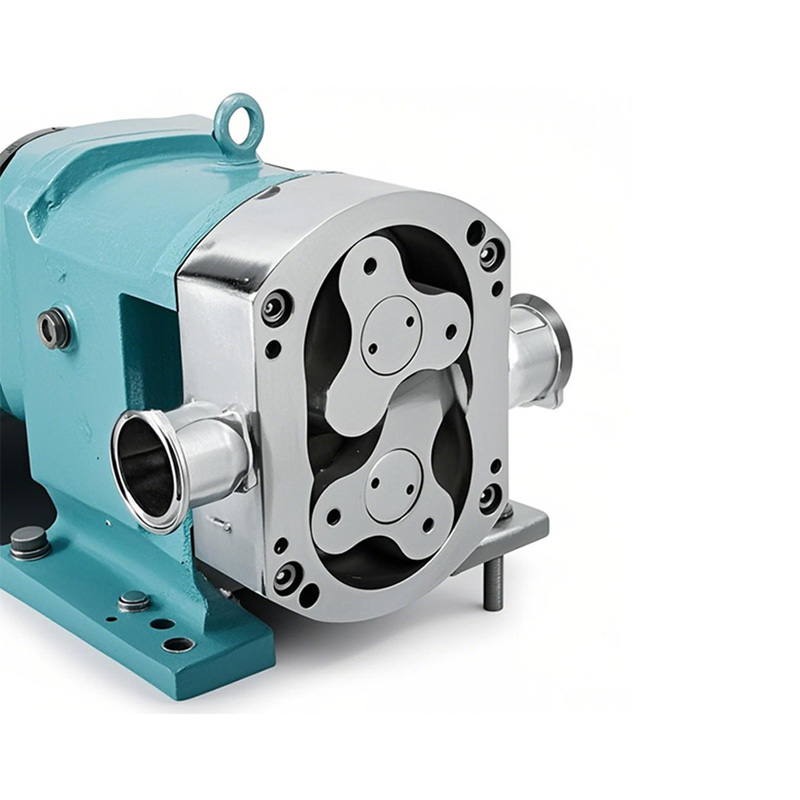 Horizontal SS Cam Rotor Pump High Head/Flow Cooking Equipment - Image 3