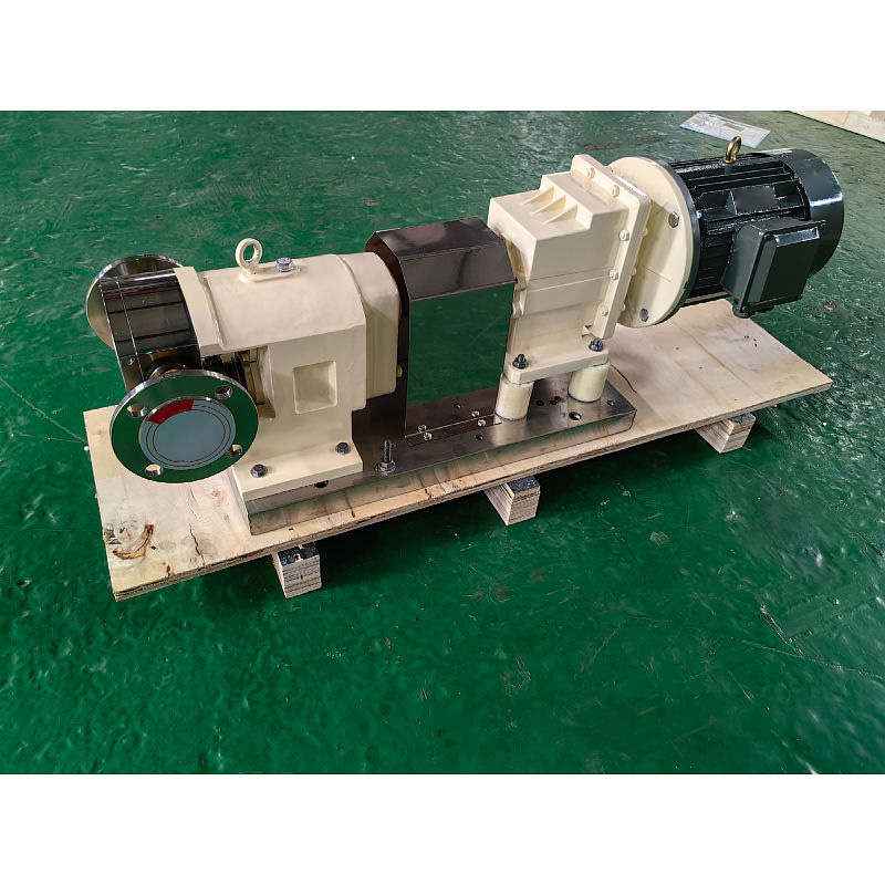 Micro Sanitary Cam Rotor Pump Food Grade High Viscosity - Image 2