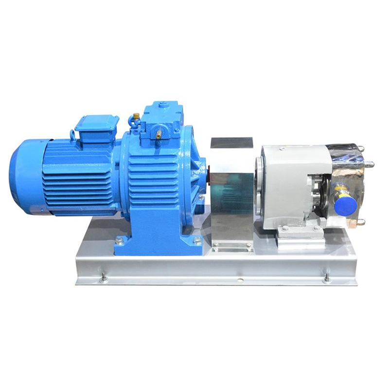 Sanitary Cam Rotor Pump Colloid/Gel Transfer High Viscosity - Image 2