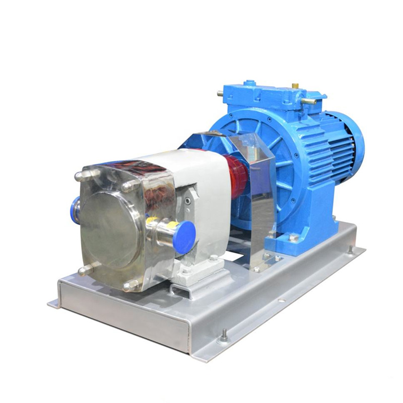 Sanitary Cam Rotor Pump Colloid/Gel Transfer High Viscosity - Image 3