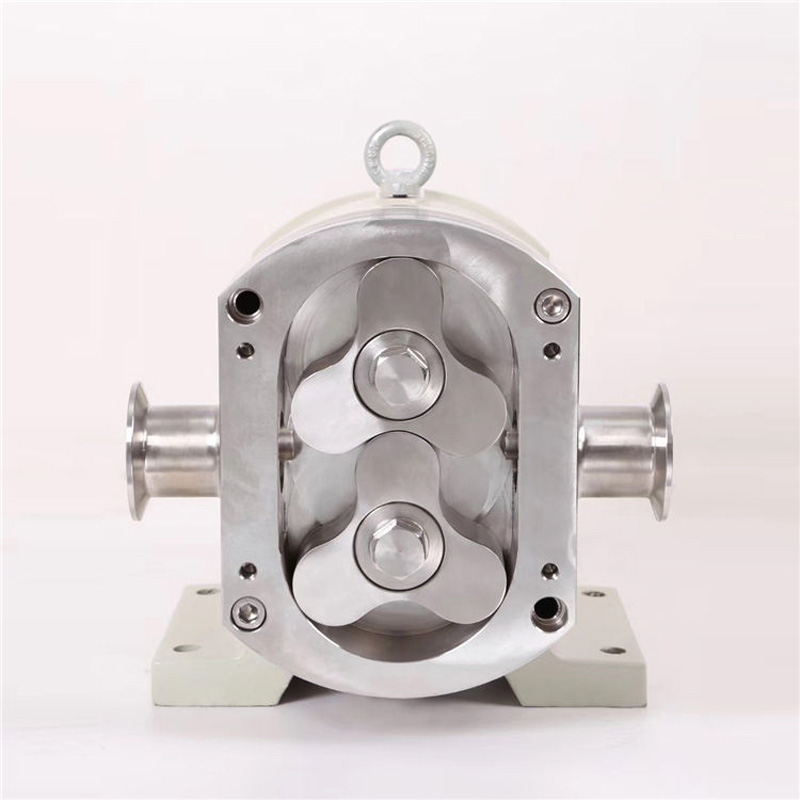 15-18.5KW Cam Rotor Pump Continuous Lab/Industrial Use - Image 2