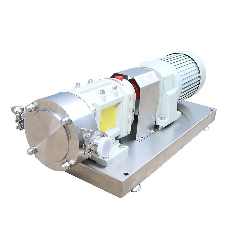 Premium SS Cam Rotor Pump Oil/Viscous Fluid Transfer - Image 2