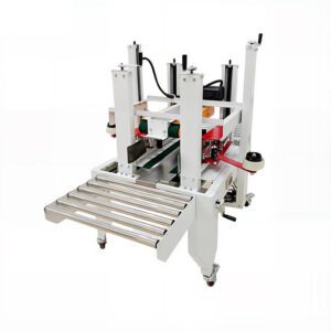 Case Sealing Forming for Food Packing - Motor Driven