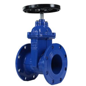 6 Inch Flange Gate Valve-Resilient Seated, General Water Use