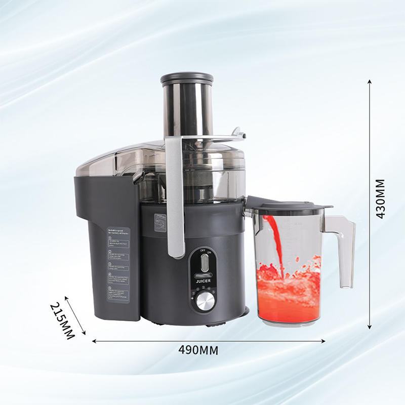 Multi-Functional Commercial Juicer For Fruits And Vegetables - Image 3