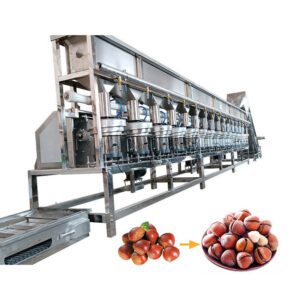 Commercial Pecan Hazelnut Nut Cracking and Shelling Machine