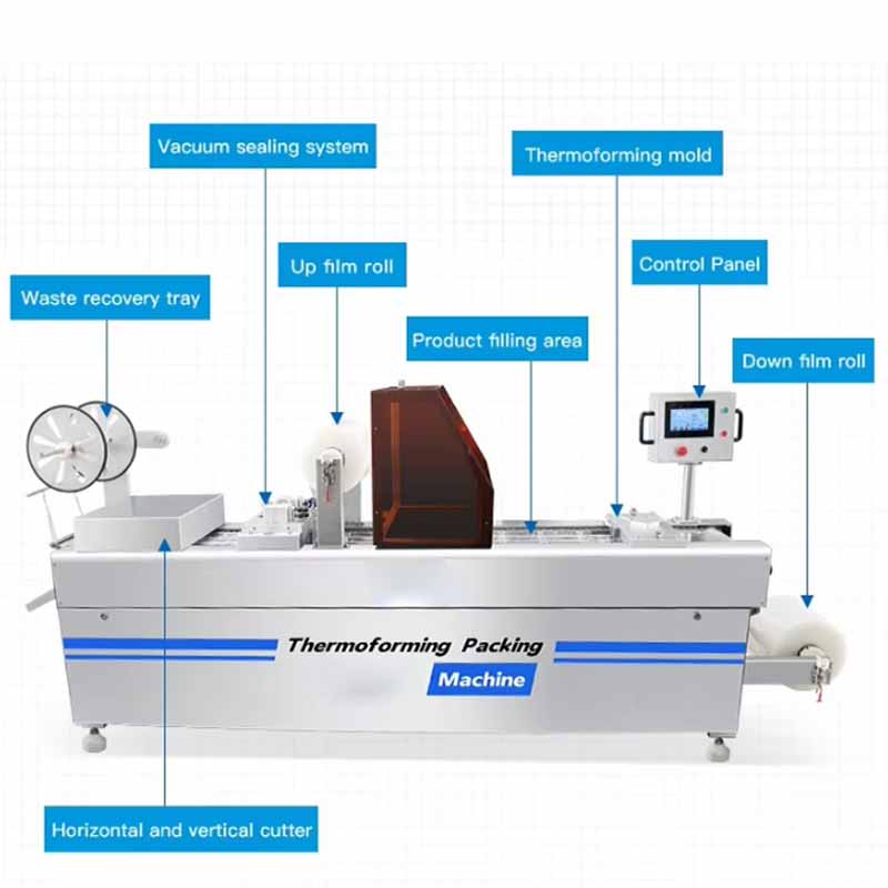 360–1200 bags/h Automatic Dates Vacuum Packing Machine - Image 2