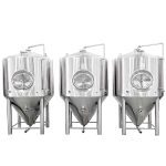 10BBL Craft Beer Brewing Equipment Price for Commercial Use