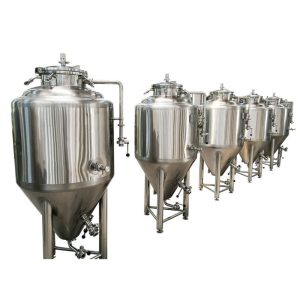 Conical Fermentation Tank 1000L for Brewery Equipment Price