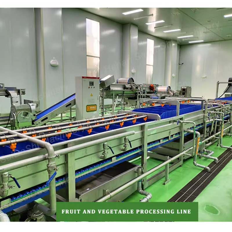Large-scale industrial IQF frozen vegetable processing line installed in a food manufacturing facility