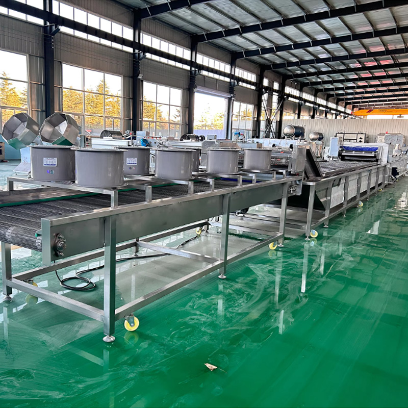 IQF frozen vegetable washing and blanching line in operation at clean food processing plant