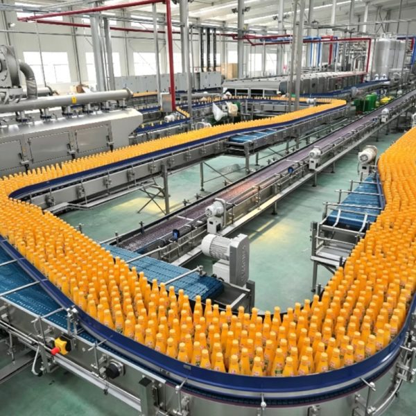 Industrial Fruit Juice Processing System Production Line