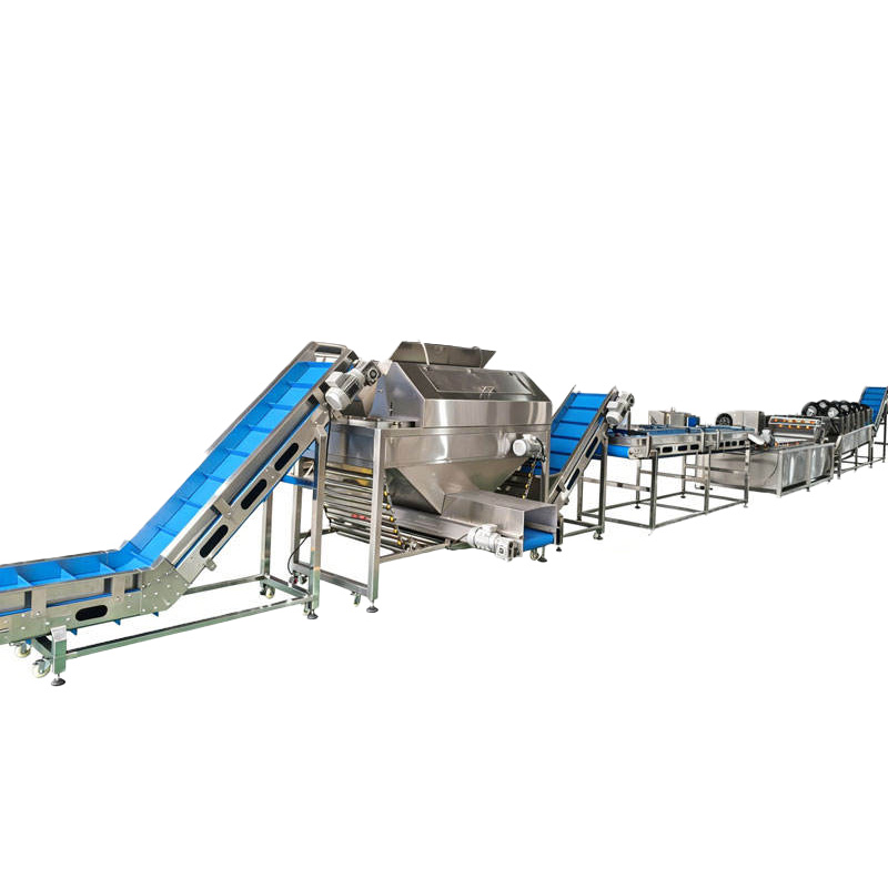 Industrial onion processing line system solution, full stainless steel equipment layout overview