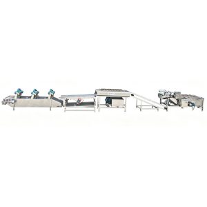 Onion Processing Line Solution for Fruit and Vegetable Processing