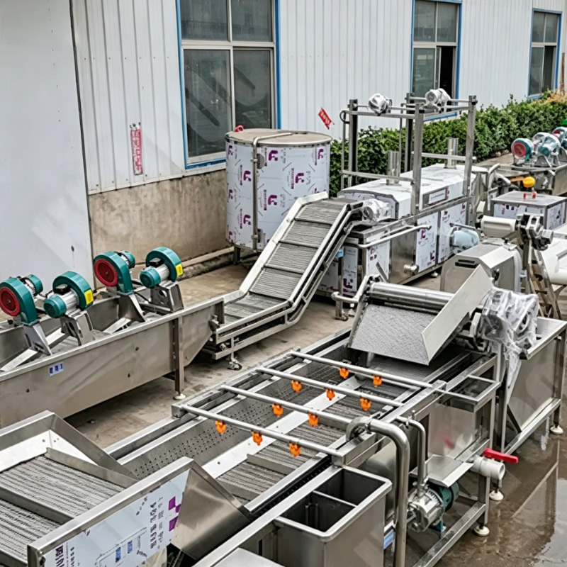 Onion processing line with washing, peeling and cutting units, factory outdoor installation