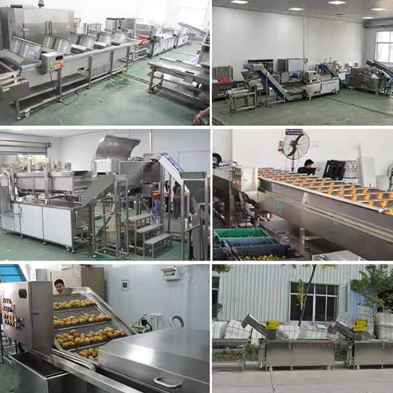 Multi-angle shots of industrial fruit and vegetable washing, cleaning and processing stations