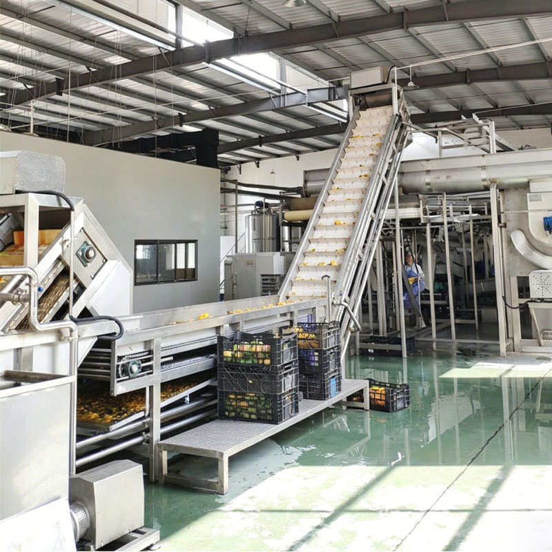 Mango Juice Processing Line Price Industrial Pulp System