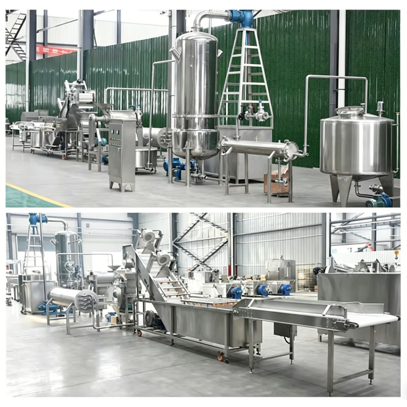 automatic tomato paste processing system for industrial production use