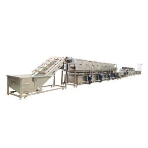 Automatic Vegetable and Fruit Processing Line Supplier