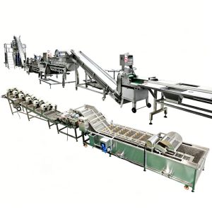Industrial Potato Washing System for Vegetable Cleaning Line