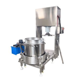Commercial Automatic Fruit Press Machine Production Solution